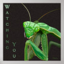 Search for bug eyes posters Insects