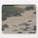 Search for coasts mousepads Landscape