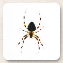 Search for orb barware Wildlife