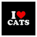 Search for cat owners posters Animal