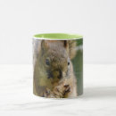 Search for squirrels mugs Wildlife