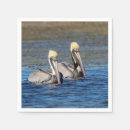 Recherche de pelican serviettes Animal