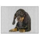 Search for dachshund cutting boards Cute