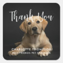 Search for pet groomer stickers Small business