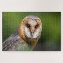 Search for barn owl puzzles Animal