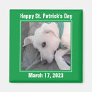 Search for saint patrick magnets St paddys