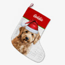 Search for goldendoodle christmas stockings Pets