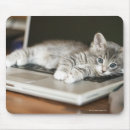 Search for emotional mousepads Animal