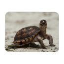 Recherche de oxford magnete Délimiteur danita