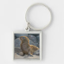 Search for sea lion keychains Beach