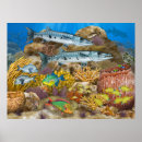 Recherche de perroquet posters Sous l'eau