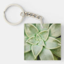 Search for succulent keychains Botanical