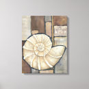 Search for shell canvas prints Conch seashell