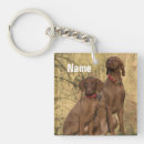 Recherche de vizsla accessoires Animal de compagnie