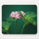 Search for green mousepads Garden