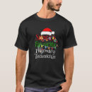 Search for pharmacy technician tshirts Santa