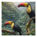 Recherche de oiseaux tropicaux posters Mignon