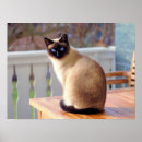 Search for veterinary posters Funny