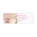 Search for cherry blossom return address labels Sakura