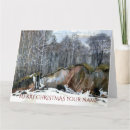 Search for silks cards Winter