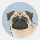 Search for fawn pug stickers Cute