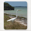 Search for two birds mousepads Water