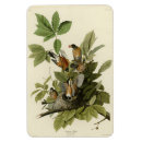 Recherche de american magnets Oiseau