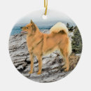 Search for finnish christmas decor Dog