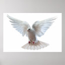 Search for peace symbol posters Pigeon