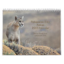 Search for lion calendars Cats