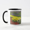 Search for hyacinth flower mugs Blue