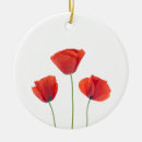 Search for poppies ornaments Nature