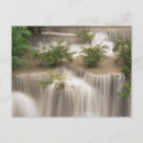 Search for mae postcards Forest