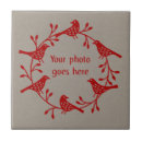Search for scandinavian tiles Nature