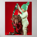 Recherche de anser posters Animal