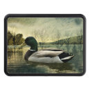 Recherche de attelage cartes postales Canard colvert
