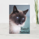 Search for grumpy cat cards Animal