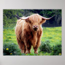Recherche de vache drôle posters Pour elle