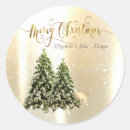 Recherche de elegant reindeer stickers Renne