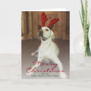 Search for log cabin christmas cards Reindeer