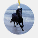 Search for equine ornaments Stallion