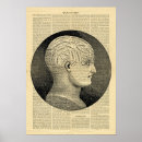 Search for vintage phrenology posters Human