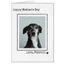 Search for dog mothers day cards From the dog