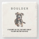 Search for image coasters Dog