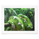 Search for bathing beauty art Beautiful