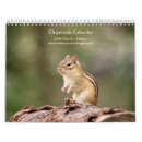 Search for chipmunk calendars Nature