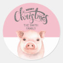 Search for pink pigs stickers Pink and white