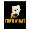 Search for funny owl art Geek