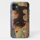 Search for highland cattle iphone cases Scottish