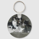 Search for calico keychains Animals